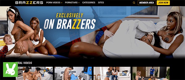 600px x 260px - How To Cancel a Brazzers Membership | The Hareald